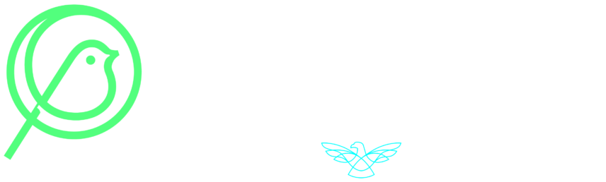 EarlyBird, powered by StudioHawk